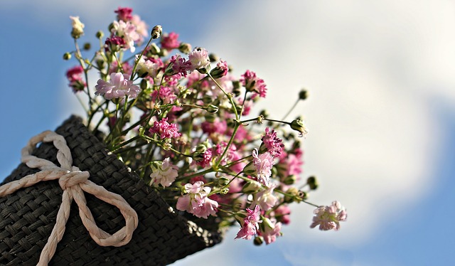 bag-gypsofilia-seeds-1716747_640.jpg